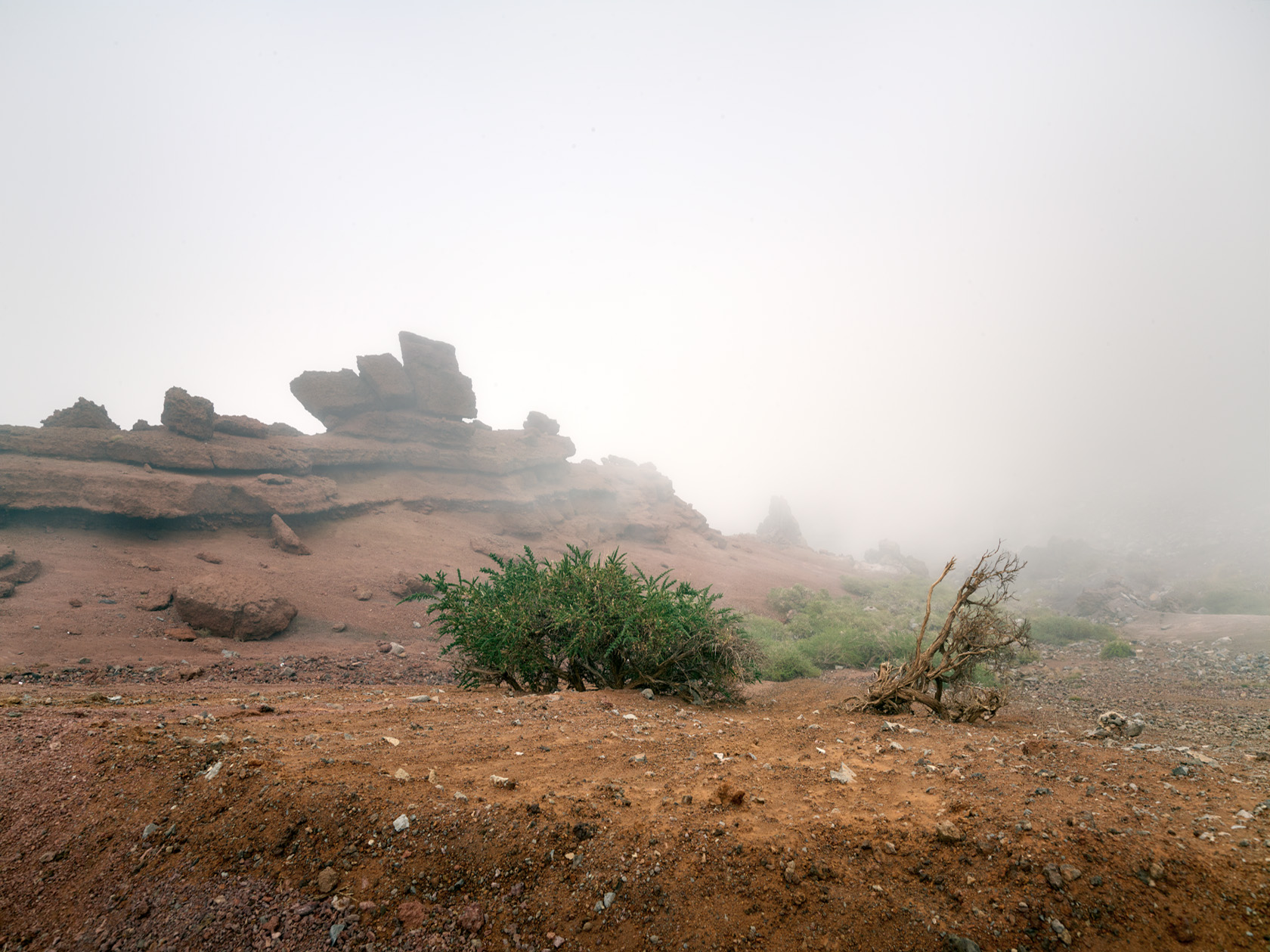 In seinem Langzeitprojekt - Die Stille Landschaft - präsentiert Herbert Böttcher künstlerische Fotografien.
